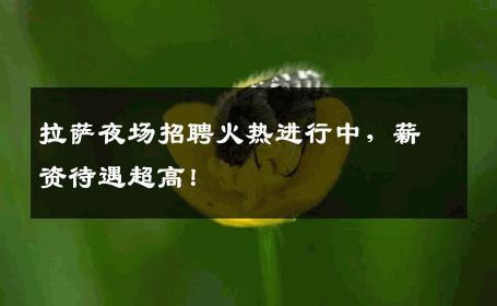 拉萨夜场招聘火热进行中，薪资待遇超高！