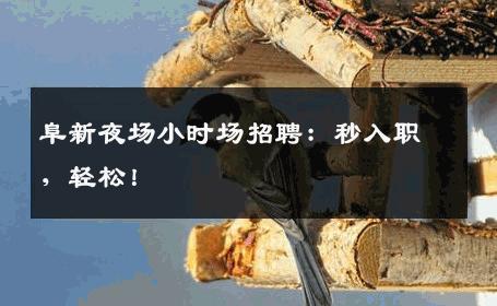 阜新夜场小时场招聘：秒入职，轻松！