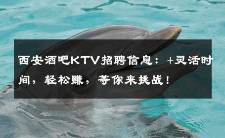 西安酒吧KTV招聘信息：+灵活时间，轻松赚，等你来挑战！