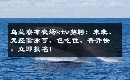 乌兰察布夜场ktv招聘：来袭、无经验亦可、包吃住、晋升快，立即报名！
