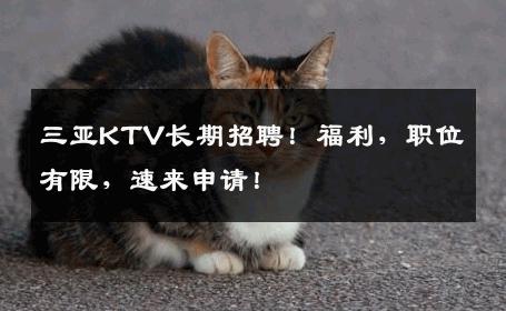 三亚KTV长期招聘！福利，职位有限，速来申请！