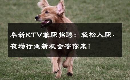 阜新KTV兼职招聘：轻松入职，夜场行业新机会等你来！