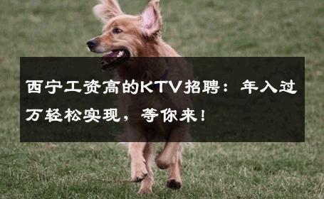 西宁工资高的KTV招聘：年入过万轻松实现，等你来！