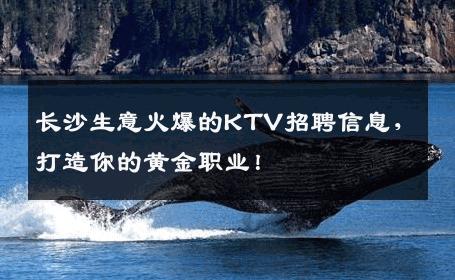 长沙生意火爆的KTV招聘信息，打造你的黄金职业！