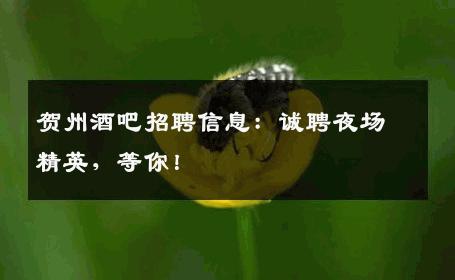 贺州酒吧招聘信息：诚聘夜场精英，等你！