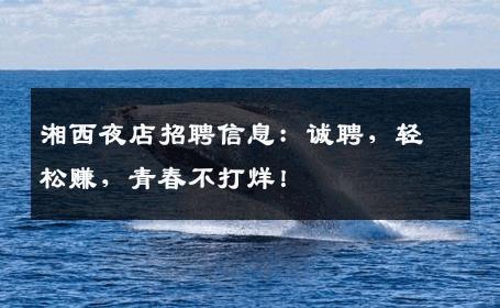 湘西夜店招聘信息：诚聘，轻松赚，青春不打烊！