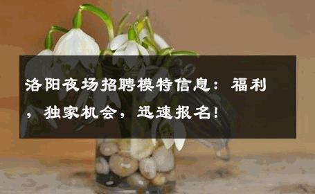 洛阳夜场招聘模特信息：福利，独家机会，迅速报名！