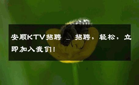 安顺KTV招聘 _ 招聘，轻松，立即加入我们！