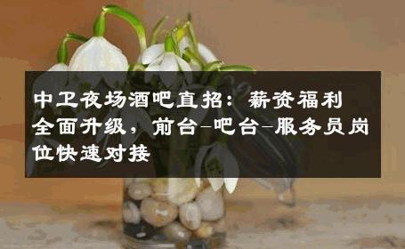 中卫夜场酒吧直招：薪资福利全面升级，前台-吧台-服务员岗位快速对接