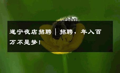 遂宁夜店招聘｜招聘，年入百万不是梦！