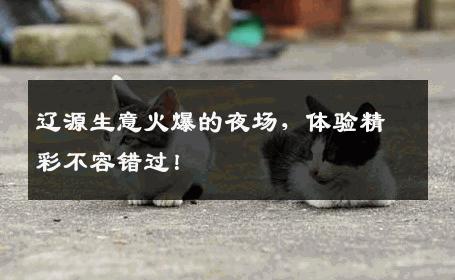 辽源生意火爆的夜场，体验精彩不容错过！