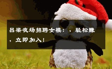 吕梁夜场招聘女模：，轻松赚，立即加入！