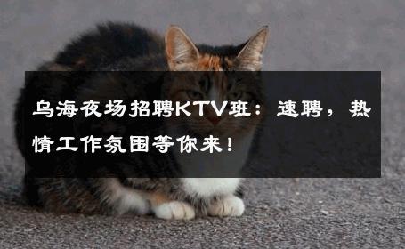 乌海夜场招聘KTV班：速聘，热情工作氛围等你来！