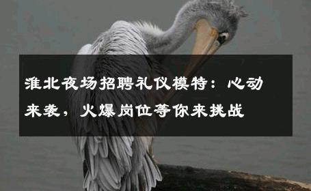 淮北夜场招聘礼仪模特：心动来袭，火爆岗位等你来挑战