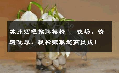 苏州酒吧招聘模特 _ 夜场，待遇优厚，轻松赚取超高提成！