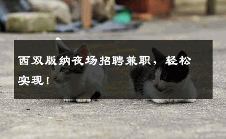 西双版纳夜场招聘兼职，轻松实现！