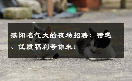 濮阳名气大的夜场招聘：待遇、优质福利等你来！
