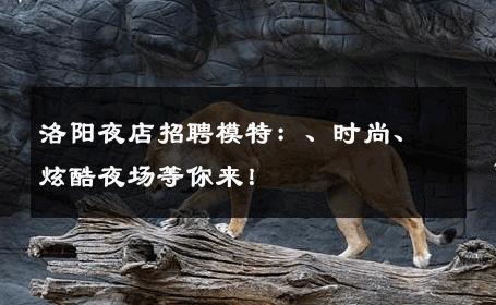 洛阳夜店招聘模特：、时尚、炫酷夜场等你来！