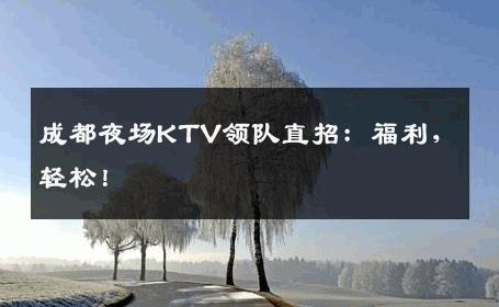 成都夜场KTV领队直招：福利，轻松！