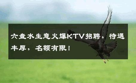 六盘水生意火爆KTV招聘，待遇丰厚，名额有限！