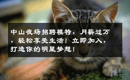 中山夜场招聘模特，月薪过万，轻松享受生活！立即加入，打造你的明星梦想！
