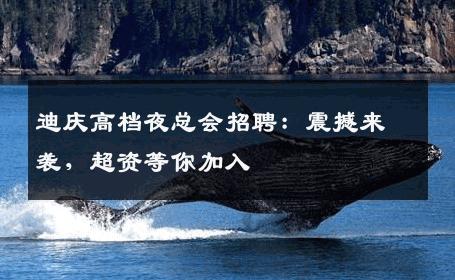 迪庆高档夜总会招聘：震撼来袭，超资等你加入
