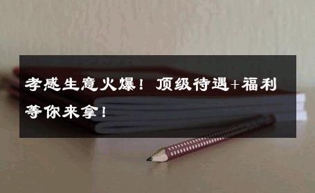 孝感生意火爆！顶级待遇+福利等你来拿！