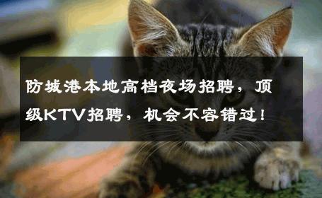 防城港本地高档夜场招聘，顶级KTV招聘，机会不容错过！