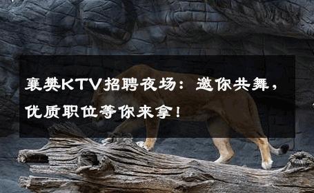 襄樊KTV招聘夜场：邀你共舞，优质职位等你来拿！