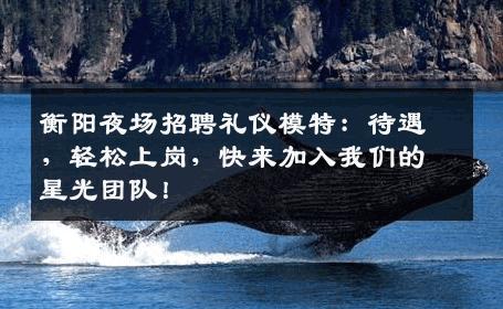 衡阳夜场招聘礼仪模特：待遇，轻松上岗，快来加入我们的星光团队！