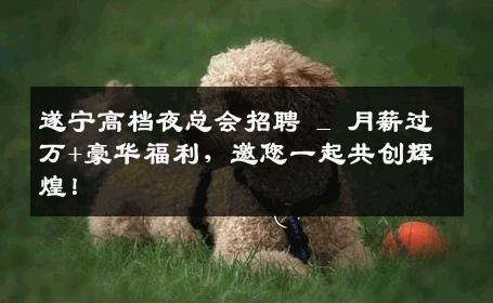 遂宁高档夜总会招聘 _ 月薪过万+豪华福利，邀您一起共创辉煌！