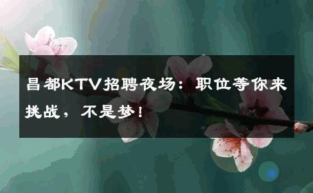 昌都KTV招聘夜场：职位等你来挑战，不是梦！