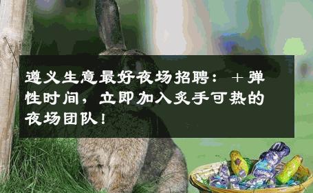 遵义生意最好夜场招聘：＋弹性时间，立即加入炙手可热的夜场团队！