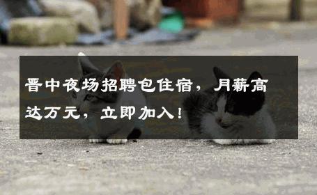 晋中夜场招聘包住宿，月薪高达万元，立即加入！