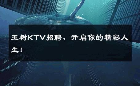 玉树KTV招聘，开启你的精彩人生！