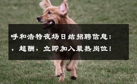 呼和浩特夜场日结招聘信息：，超酬，立即加入最热岗位！