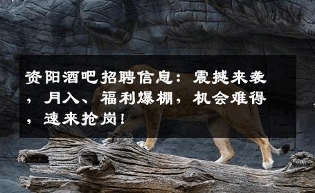 资阳酒吧招聘信息：震撼来袭，月入、福利爆棚，机会难得，速来抢岗！