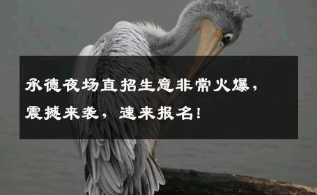 承德夜场直招生意非常火爆，震撼来袭，速来报名！