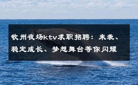 钦州夜场ktv求职招聘：来袭、稳定成长、梦想舞台等你闪耀