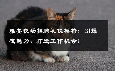 雅安夜场招聘礼仪模特：引爆夜魅力，打造工作机会！