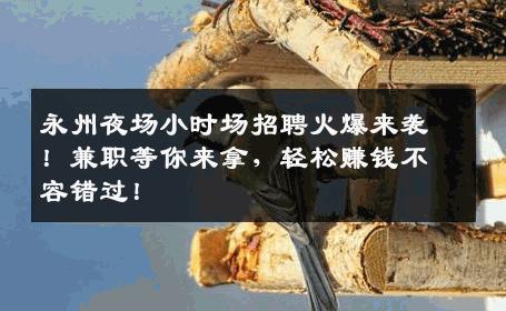 永州夜场小时场招聘火爆来袭！兼职等你来拿，轻松赚钱不容错过！