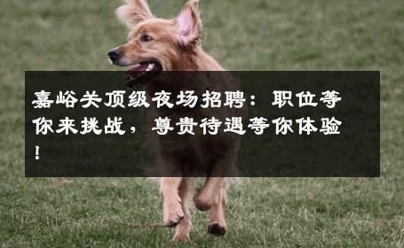 嘉峪关顶级夜场招聘：职位等你来挑战，尊贵待遇等你体验！