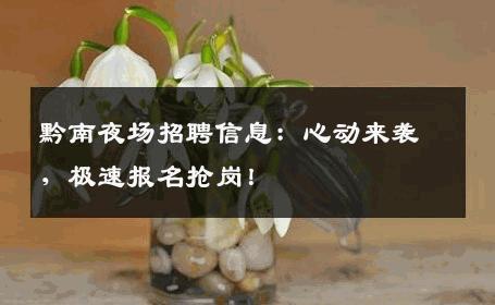 黔南夜场招聘信息：心动来袭，极速报名抢岗！