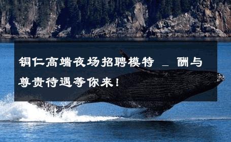 铜仁高端夜场招聘模特 _ 酬与尊贵待遇等你来！