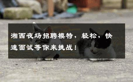 湘西夜场招聘模特，轻松，快速面试等你来挑战！