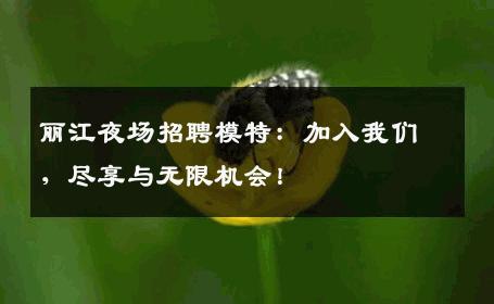 丽江夜场招聘模特：加入我们，尽享与无限机会！