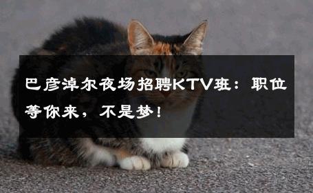 巴彦淖尔夜场招聘KTV班：职位等你来，不是梦！