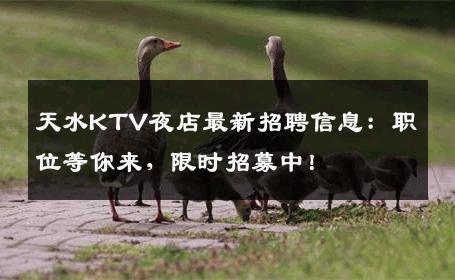 天水KTV夜店最新招聘信息：职位等你来，限时招募中！