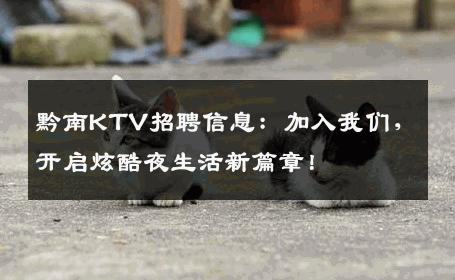 黔南KTV招聘信息：加入我们，开启炫酷夜生活新篇章！