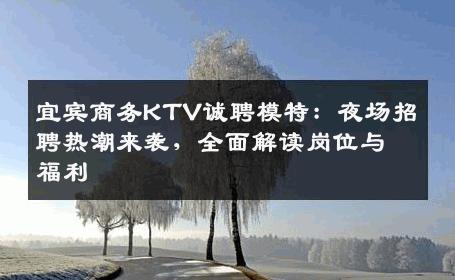 宜宾商务KTV诚聘模特：夜场招聘热潮来袭，全面解读岗位与福利